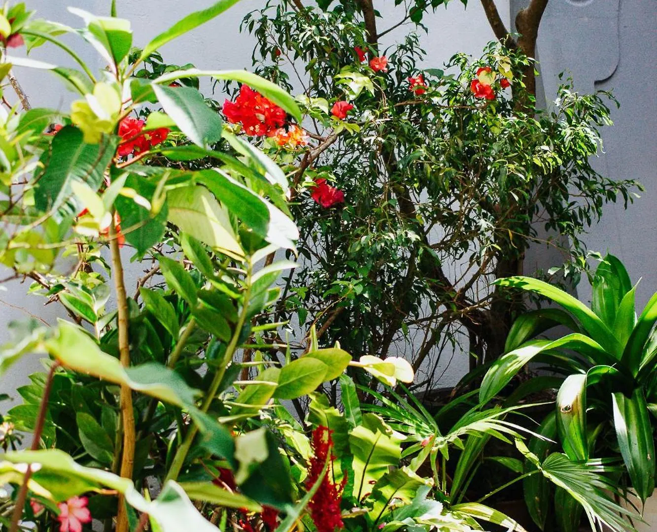 Hotell Kaya Residence Kandy
