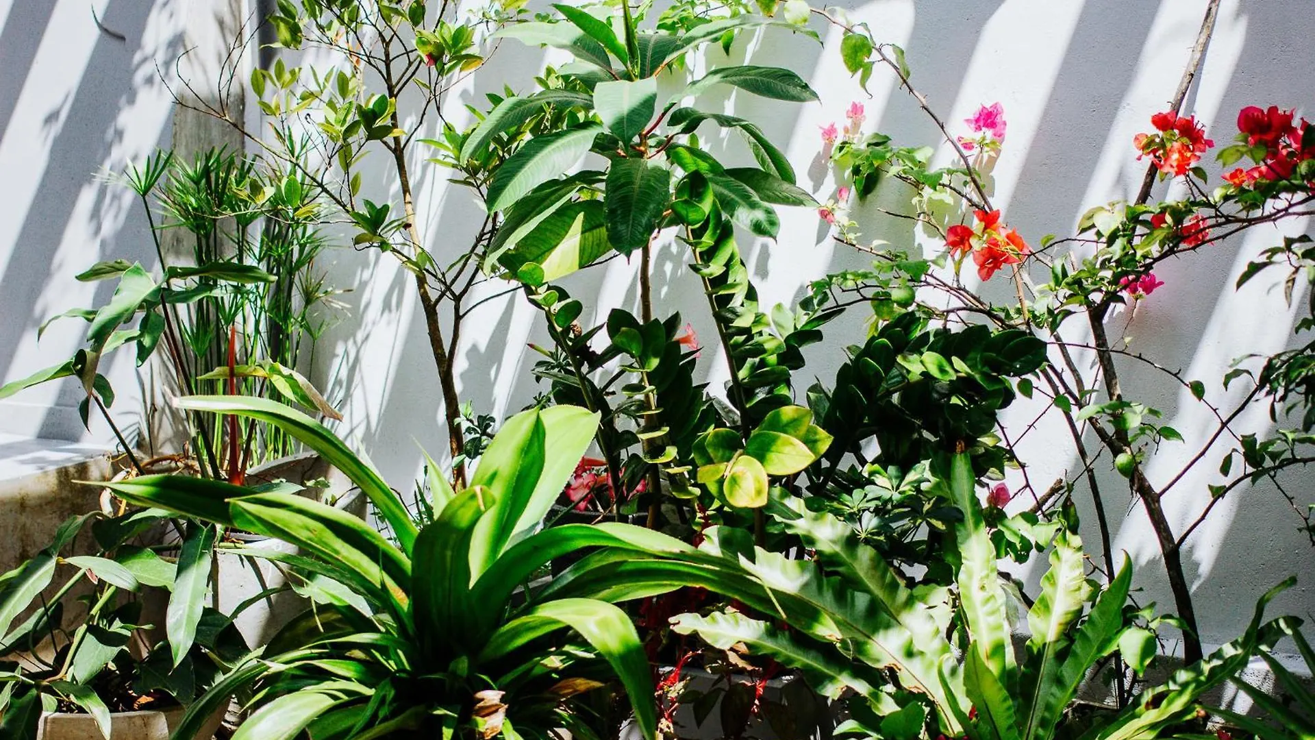 Kaya Residence Kandy