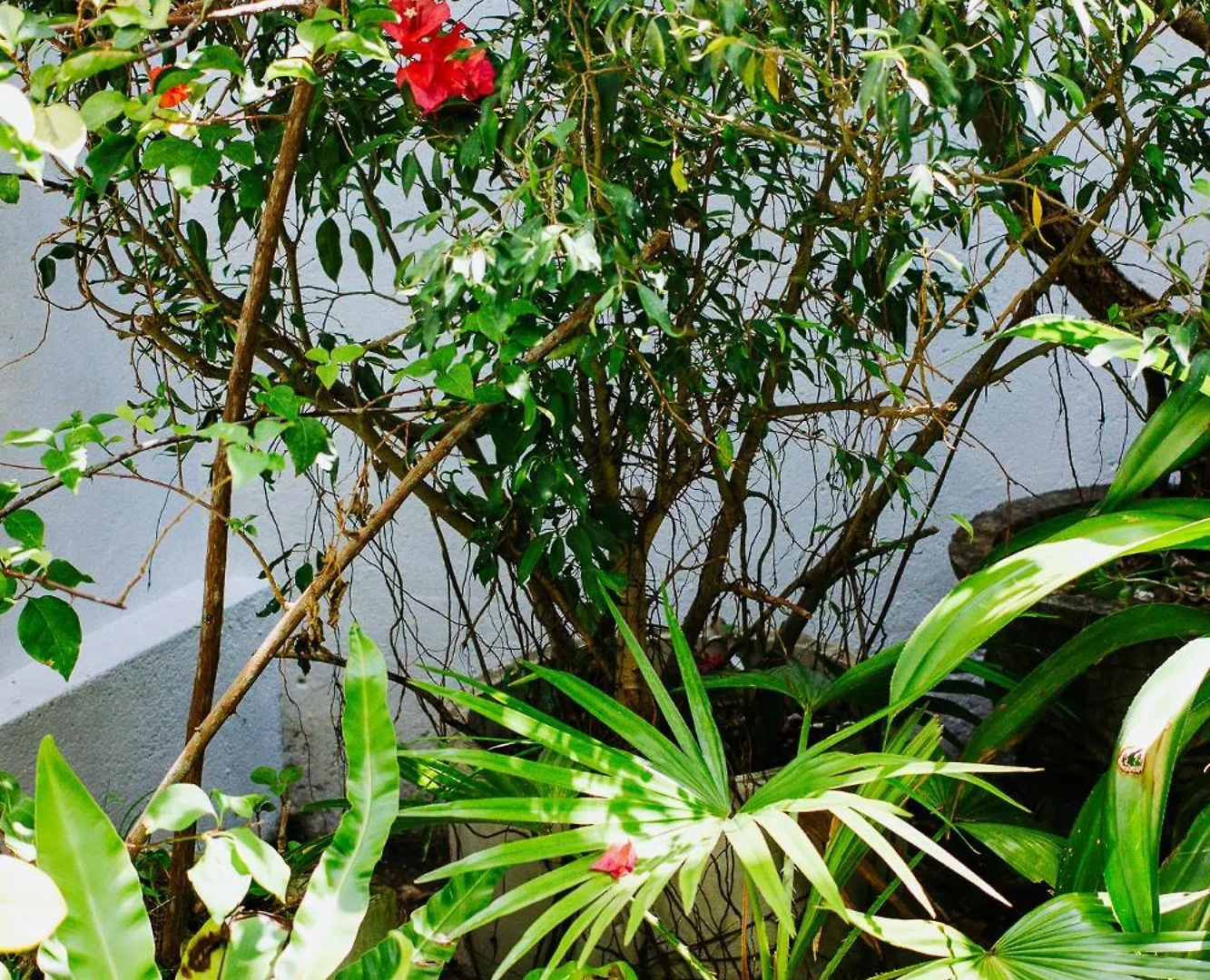 Hotell Kaya Residence Kandy