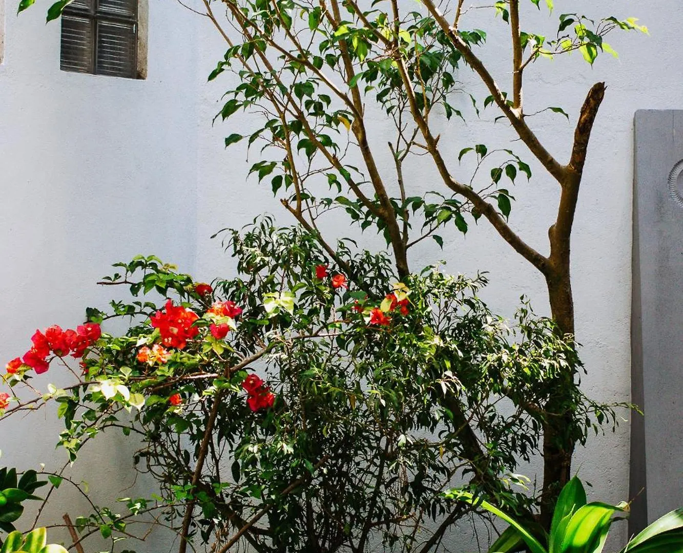 Kaya Residence Kandy